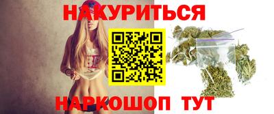 крисы Славгород