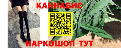 крисы Славгород