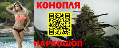 крисы Славгород