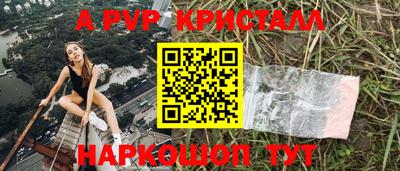 крисы Славгород