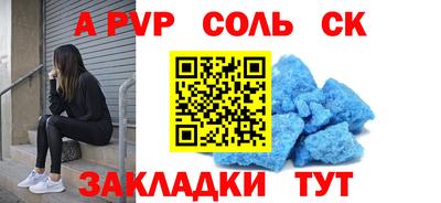 крисы Славгород