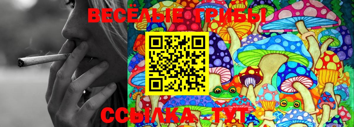 Галлюциногенные грибы MAGIC MUSHROOMS Обь