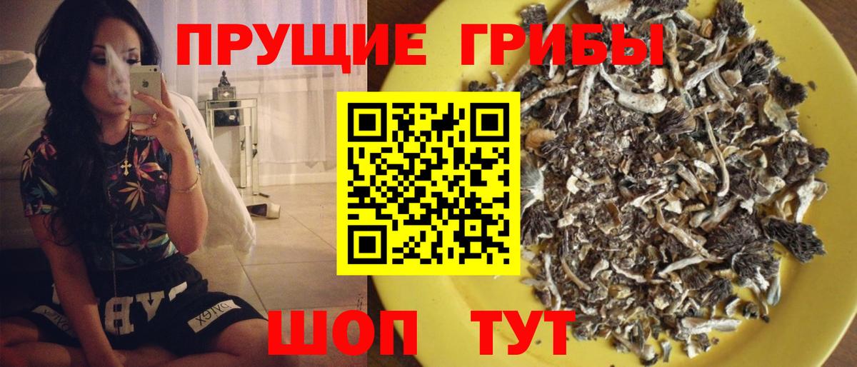 Обь  купить наркотики сайты  Псилоцибиновые грибы Psilocybe  Вход с VPN  Галлюциногенные грибы Psilocybe 